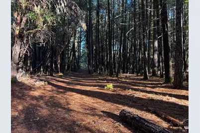 770 Branscomb Road, Laytonville, CA 95454 - Photo 30