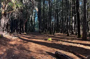 770 Branscomb Rd, Laytonville, CA 95454 - Photo 30