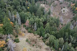 6565 Spyrock Rd, Laytonville, CA 95454 - Photo 40