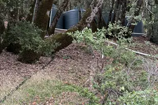 6565 Spyrock Rd, Laytonville, CA 95454 - Photo 38