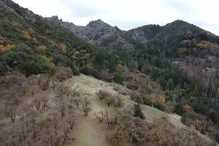 6565 Spyrock Rd, Laytonville, CA 95454 - Photo 24