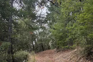 6565 Spyrock Rd, Laytonville, CA 95454 - Photo 32