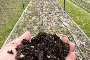 6565 Spyrock Rd, Laytonville, CA 95454 - Photo 34