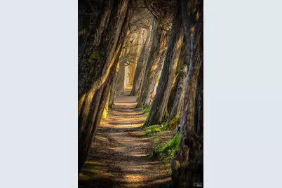 167 Dune Drift Close, The Sea Ranch, CA 95497 - Photo 62