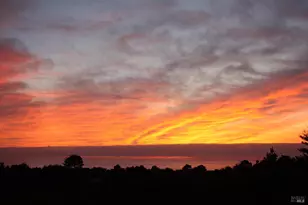 167 Dune Drift Close, The Sea Ranch, CA 95497 - Photo 50