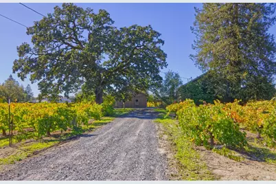 1623 Willowside Road, Santa Rosa, CA 95401 - Photo 6