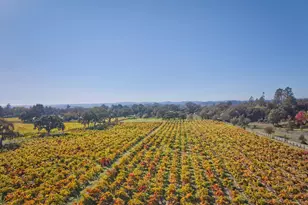 1623 Willowside Rd, Santa Rosa, CA 95401 - Photo 44