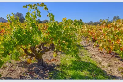 1623 Willowside Road, Santa Rosa, CA 95401 - Photo 4