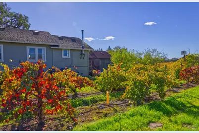 1623 Willowside Road, Santa Rosa, CA 95401 - Photo 8