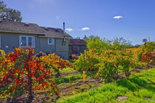 1623 Willowside Rd, Santa Rosa, CA 95401 - Photo 8