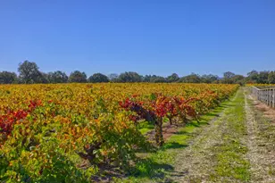 1623 Willowside Rd, Santa Rosa, CA 95401 - Photo 42