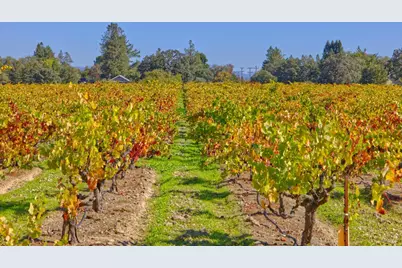 1623 Willowside Road, Santa Rosa, CA 95401 - Photo 40