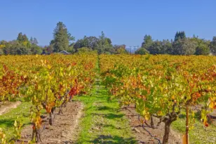 1623 Willowside Rd, Santa Rosa, CA 95401 - Photo 40