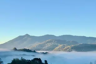 615 Oak Manor Dr, Fairfax, CA 94930 - Photo 82