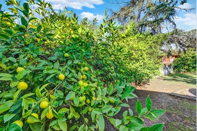 4118 Georgia Street, Vallejo, CA 94591 - Photo 56