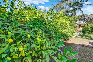 4118 Georgia St, Vallejo, CA 94591 - Photo 56