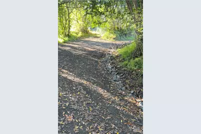 95 Highland Way, Inverness, CA 94937 - Photo 20