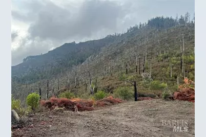 17655 Ford Flat Road, Cobb, CA 95426 - Photo 8