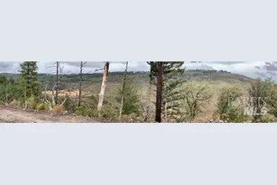 17655 Ford Flat Road, Cobb, CA 95426 - Photo 10