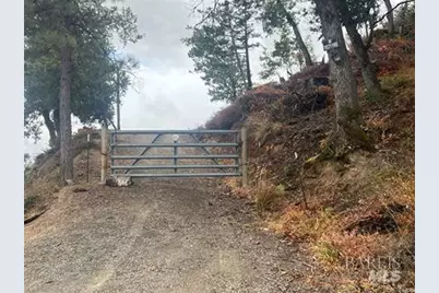 17655 Ford Flat Road, Cobb, CA 95426 - Photo 14