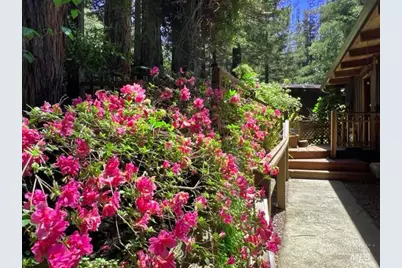 544 Cascade Drive, Mill Valley, CA 94941 - Photo 2