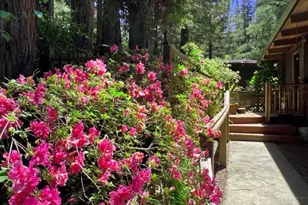 544 Cascade Dr, Mill Valley, CA 94941 - Photo 2