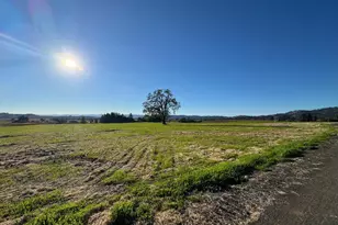 6114 Red Winery Rd, Geyserville, CA 95441 - Photo 4