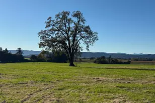 6114 Red Winery Rd, Geyserville, CA 95441 - Photo 6