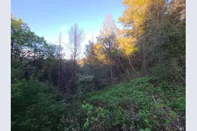 3620 Eel River Ranch Road, Covelo, CA 95428 - Photo 4