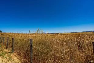 4044 Sonoma Hwy, Napa, CA 94559 - Photo 58