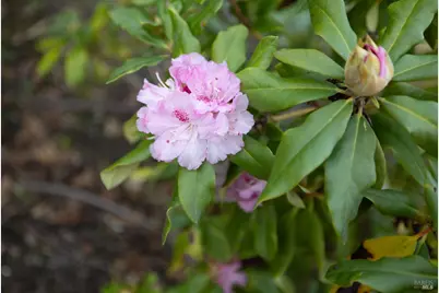 172 S Temelec Circle, Sonoma, CA 95476 - Photo 6