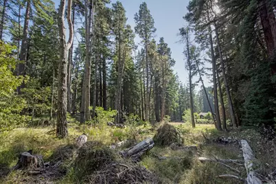 22103 Umland Circle, Jenner, CA 95450 - Photo 12