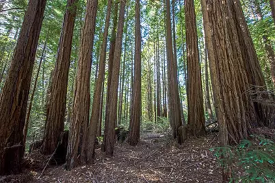 22103 Umland Circle, Jenner, CA 95450 - Photo 14