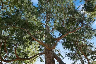 735 Carr Ave, Santa Rosa, CA 95404 - Photo 50