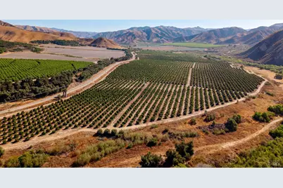 3800 Piru Canyon Road, Piru, CA 93040 - Photo 20