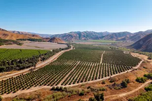 3800 Piru Canyon Rd, Piru, CA 93040 - Photo 20