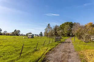 1612 McKinley Rd, Napa, CA 94558 - Photo 8