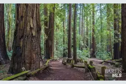 4290 Cazadero Highway, Cazadero, CA 95421 - Photo 2