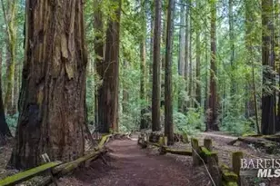 4290 Cazadero Hwy, Cazadero, CA 95421 - Photo 2