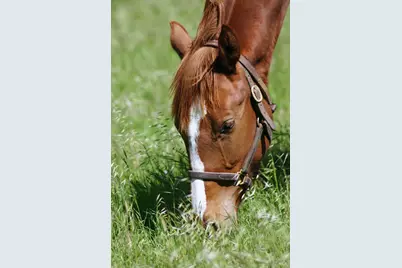 3800 Piru Canyon Road, Piru, CA 93040 - Photo 24