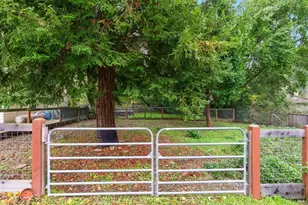 567 San Geronimo Valley Dr, San Geronimo, CA 94963 - Photo 42