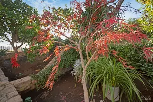 115 Stone Tree Ln, Novato, CA 94945 - Photo 54