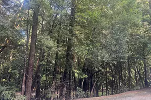 25195 Blue Jay Ln, Willits, CA 95490 - Photo 1