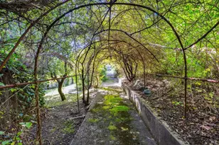 15 Tamalpais Ave, Mill Valley, CA 94941 - Photo 32