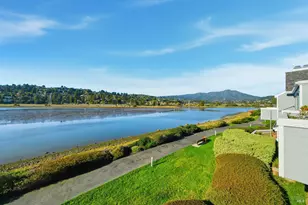 6041 Shelter Bay Ave, Mill Valley, CA 94941 - Photo 2