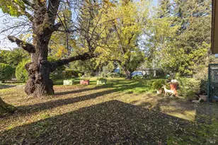 101 Bailhache Ave, Healdsburg, CA 95448 - Photo 8