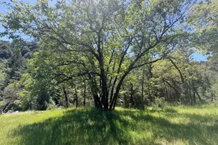 [Address not provided], Laytonville, CA 95454 - Photo 38