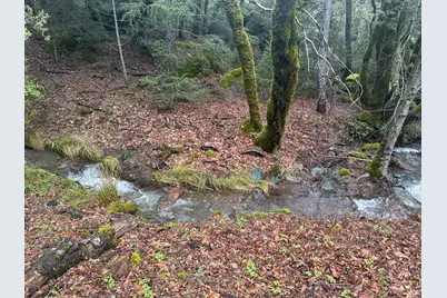[Address not provided], Laytonville, CA 95454 - Photo 52