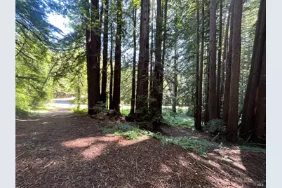 1355 Nicasio Valley Road, Nicasio, CA 94946 - Photo 1