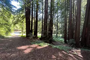 1355 Nicasio Valley Rd, Nicasio, CA 94946 - Photo 1